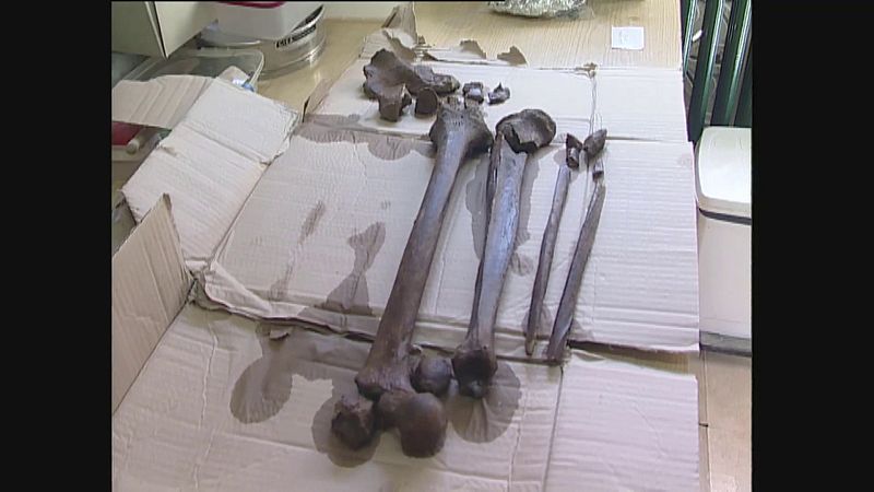 Trabajos en la fosa del paraje Matazal en Zaldibia (Gipuzkoa) | Ver ahora