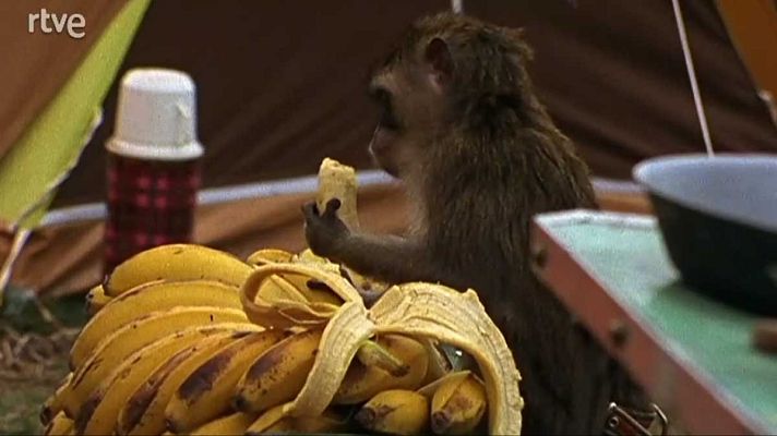 Los episodios - El ladrón de espejismos