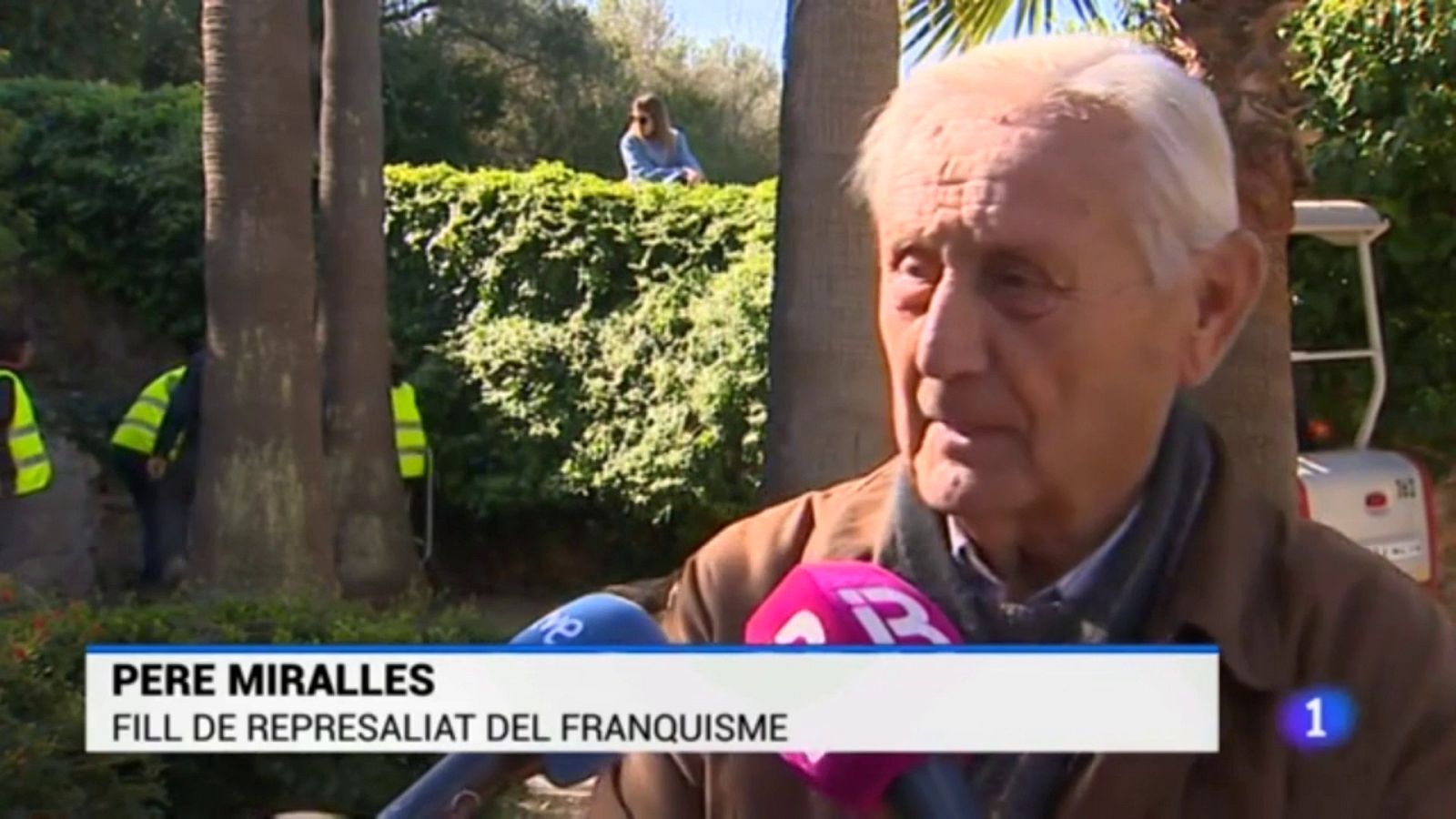 Inicio de la segunda fase de exhumación en la fosa de Sencelles (Mallorca) | Ver ahora