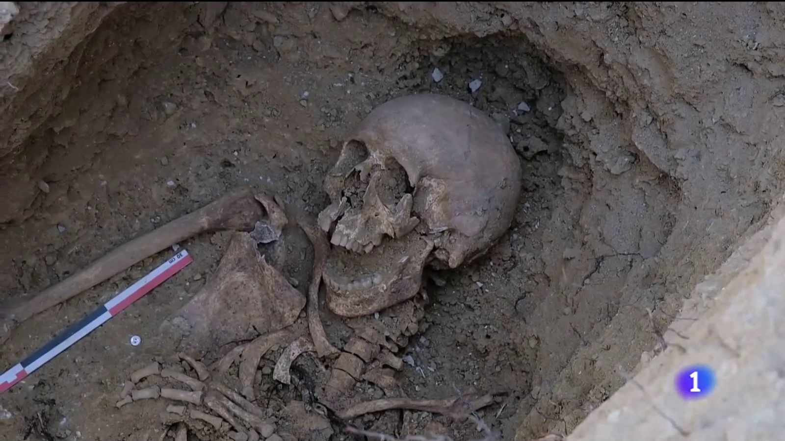 Identifican los restos encontrados en la fosa de Selva (Mallorca) | Ver ahora