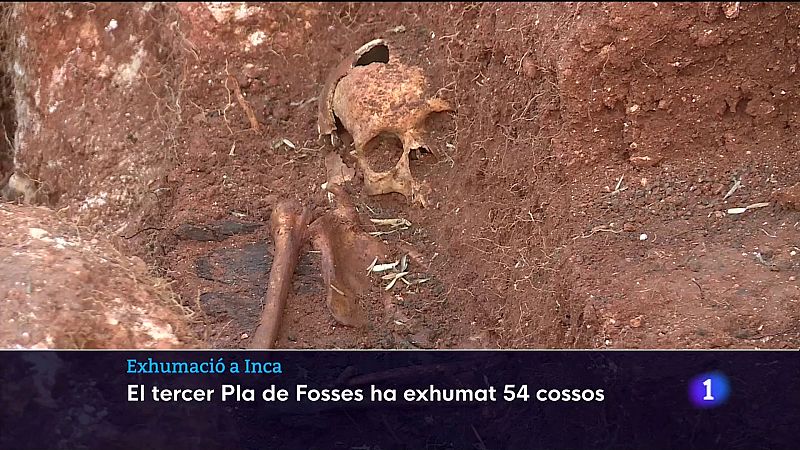 Hallan restos humanos en la fosa cementerio de Inca (Mallorca) | Ver ahora