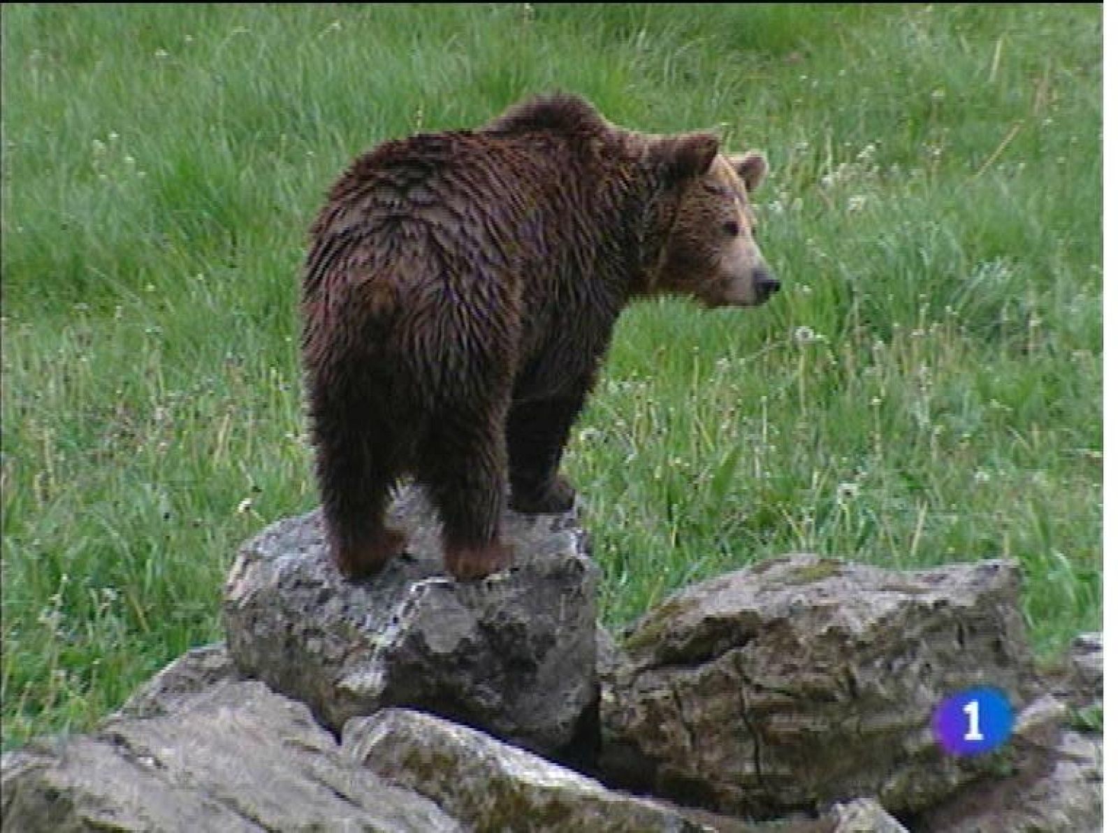 Panorama Regional 2 - 25/01/13 | Ver