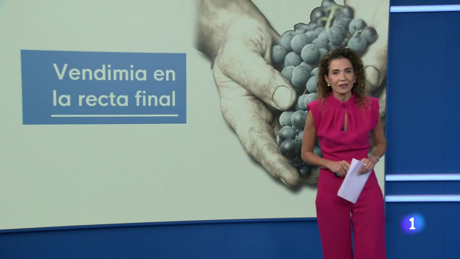 Telerioja en 2 - 03-10-2025 | Ver