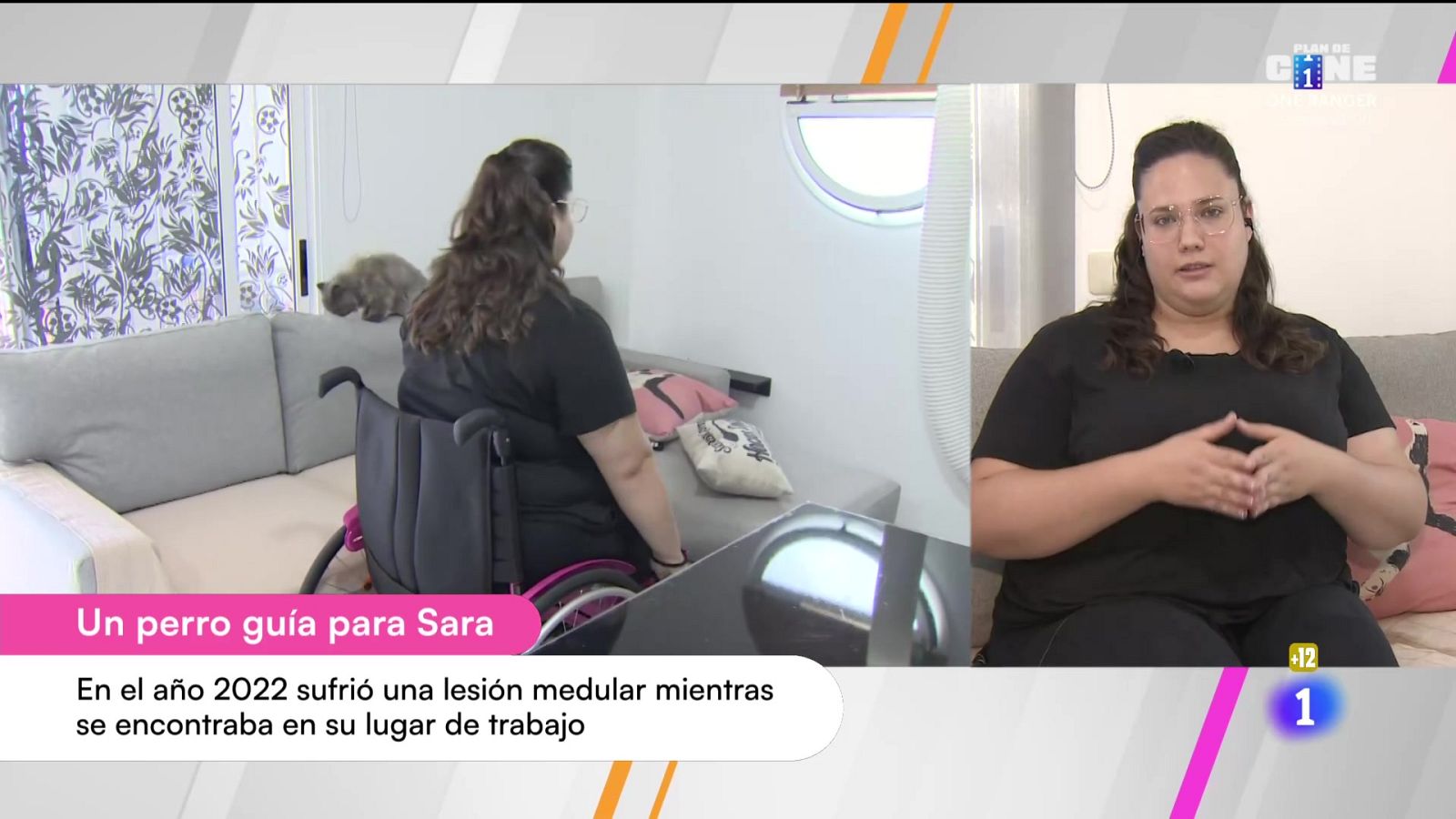 Cerca de ti - 03/10/2025 - Cerca de ti | Ver