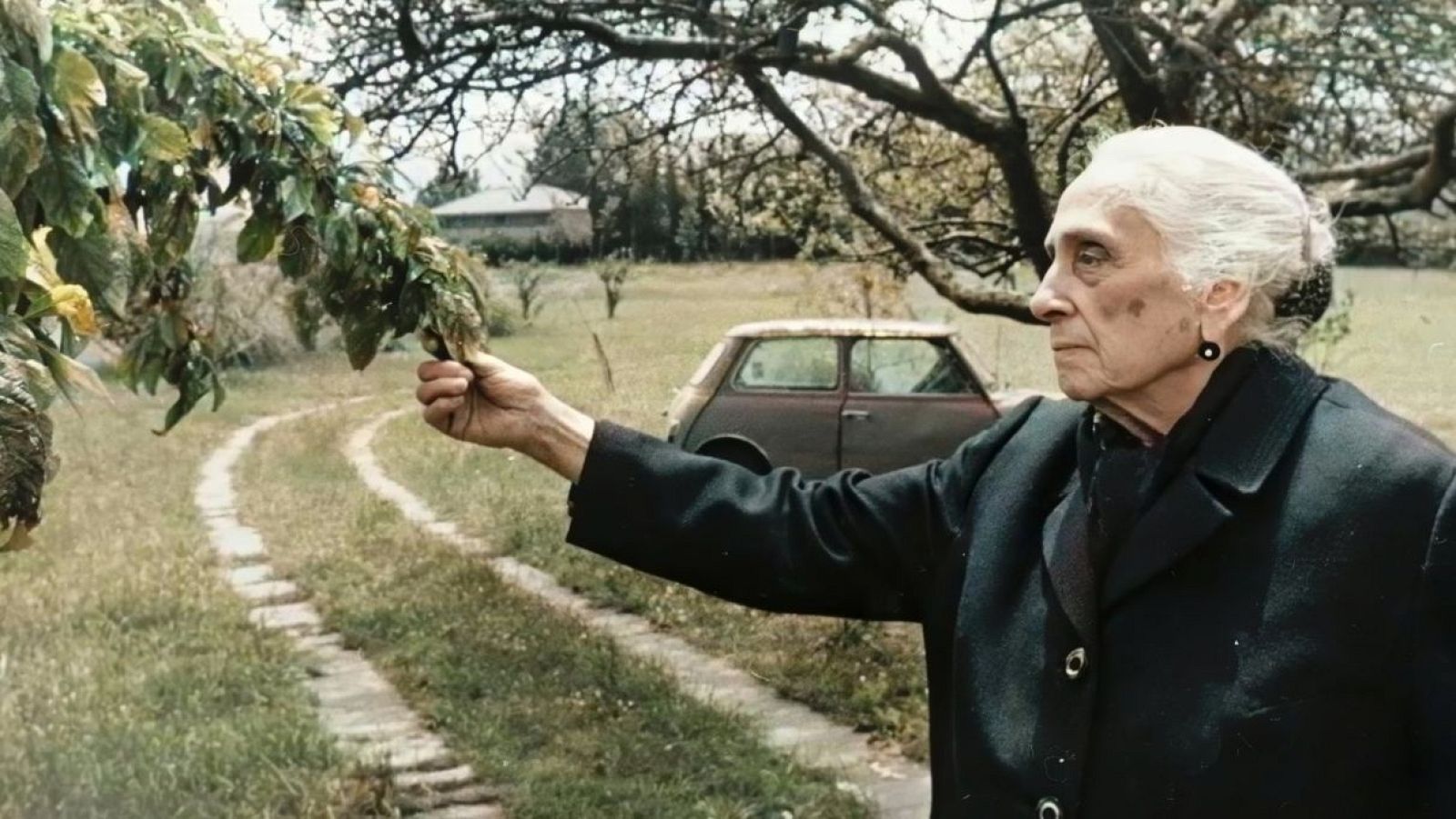 Días de Cine: Dolores Ibárruri. Pasionaria | Ver