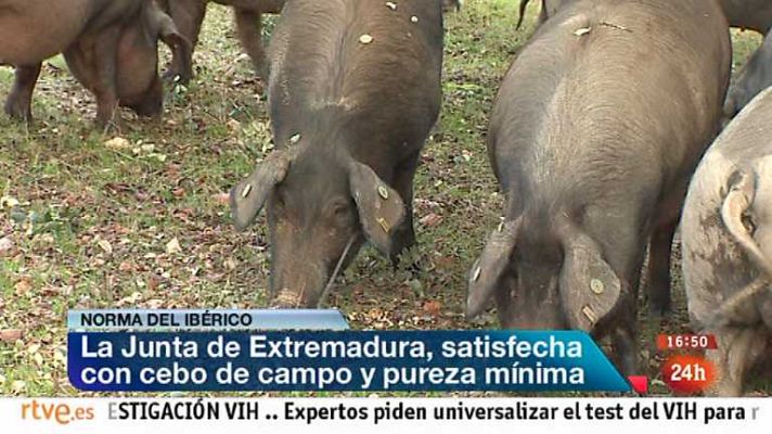 España en 24h - España en 24 horas - 25/01/13