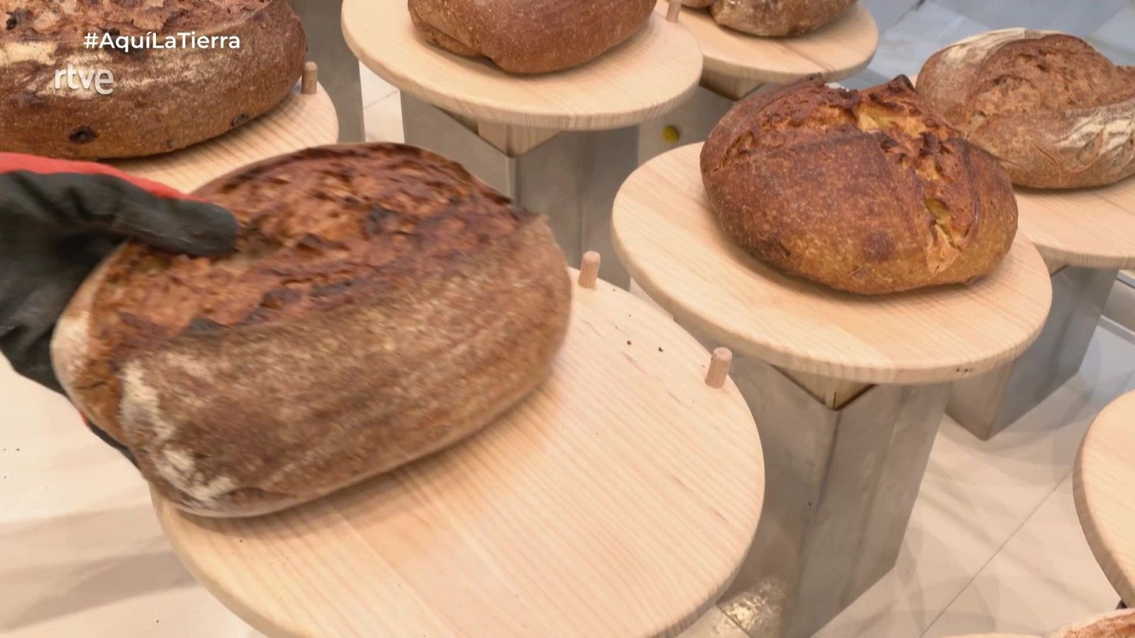 Una dieta con pan - Aquí la Tierra | Ver