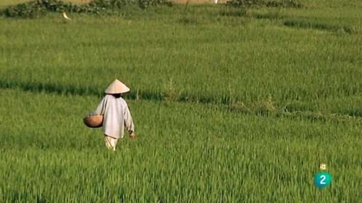 El documental - Los fantasmas de My Lai