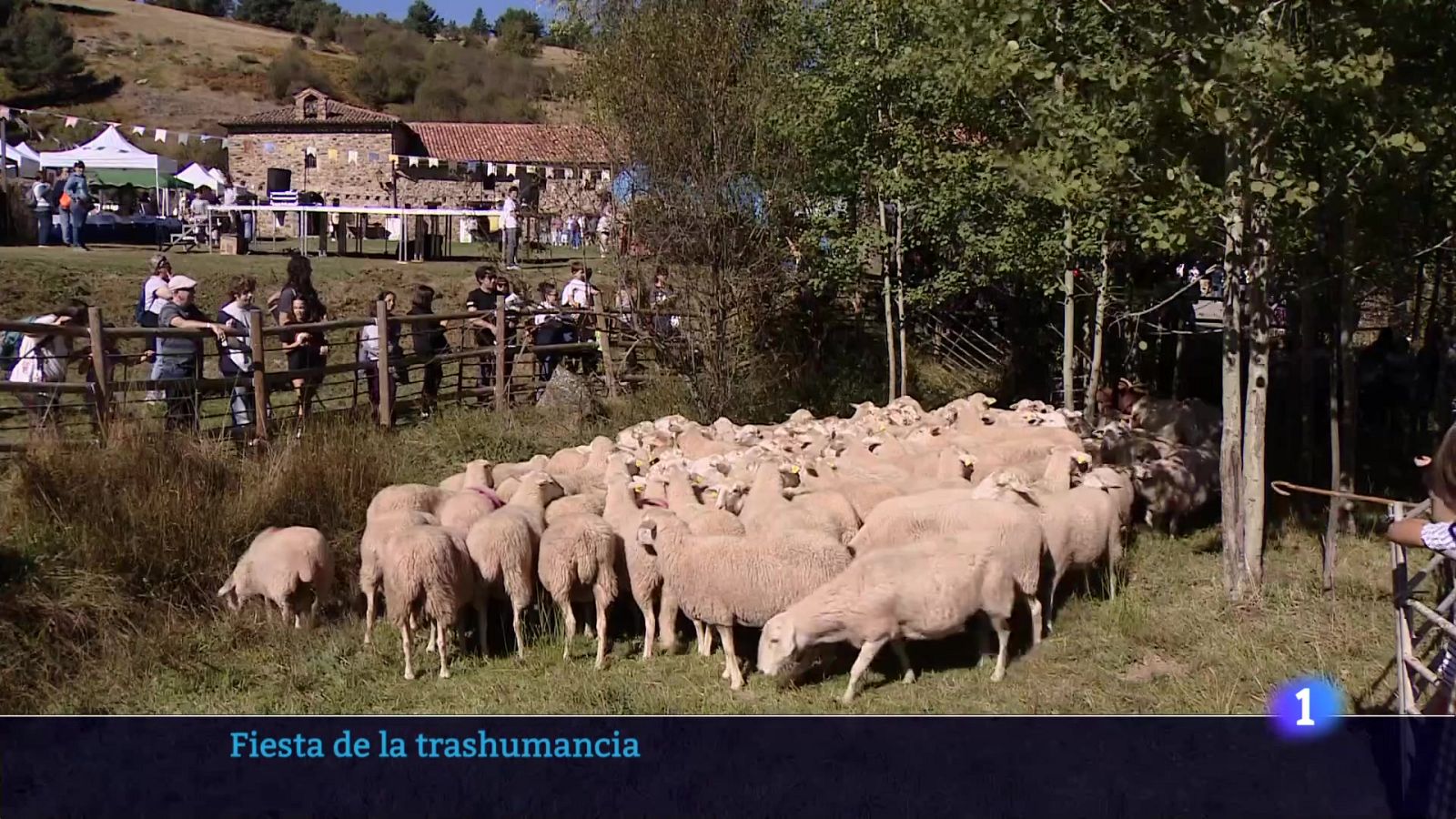 Informativo Telerioja 06-10-2025 Ver ahora | Ver