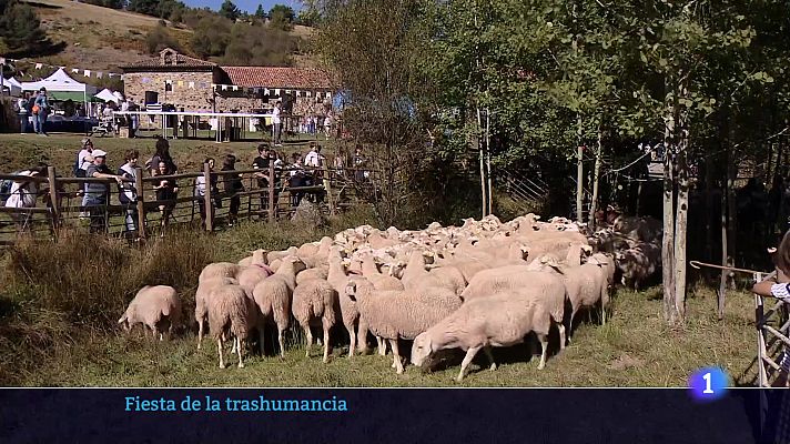 Informativo Telerioja - Telerioja en 2 - 06-10-2025 - Ver ahora