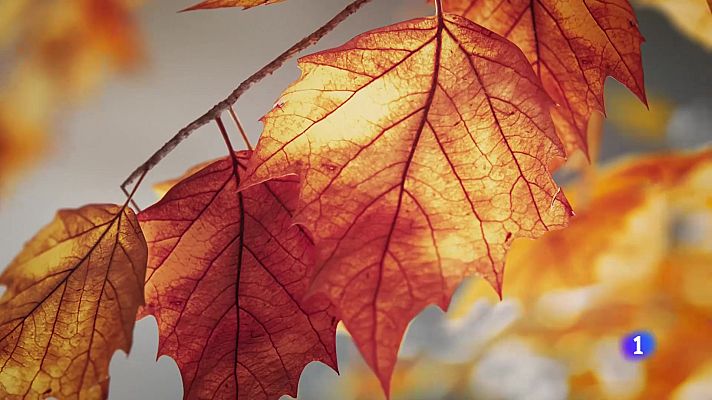 Telexornal - Galicia - El tiempo en Galicia 06-10-2025