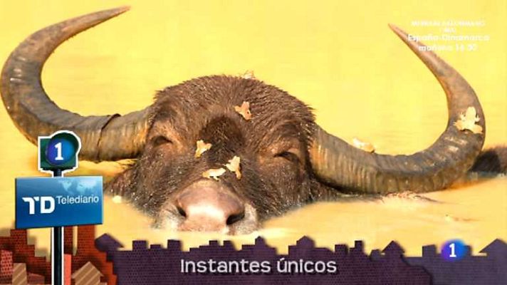 Lo que hay que ver ... - Lo que hay que ver - 26/01/13