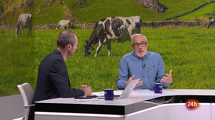 El Vespre - Mariano Domingo adverteix que la vacunació és imprescindible per aturar el brot de  Dermatosi Nodular