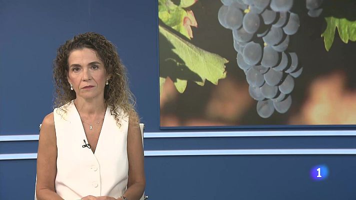 Informativo Telerioja - Informativo Telerioja 08-10-2025