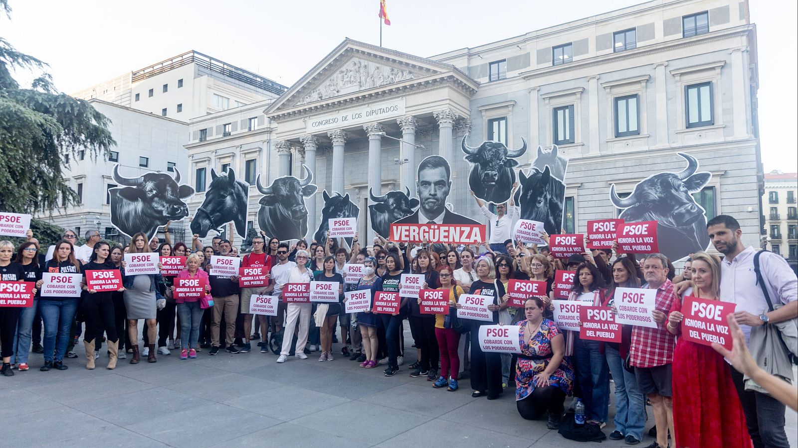 El Congreso mantiene la tauromaquia como patrimonio cultural - Telediario 2 | Ver