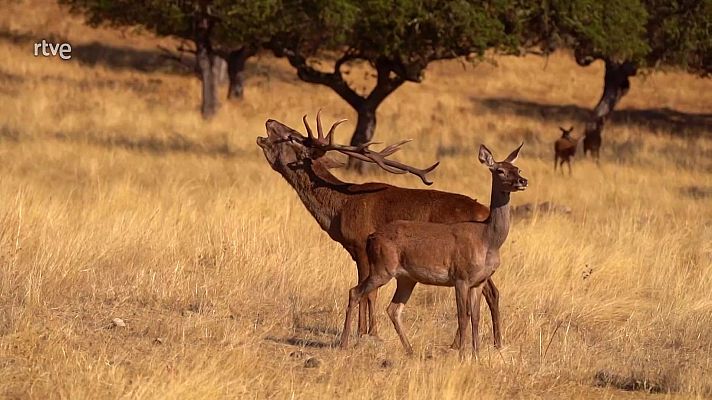 Aquí la Tierra - Aquí la Tierra - 08/10/25