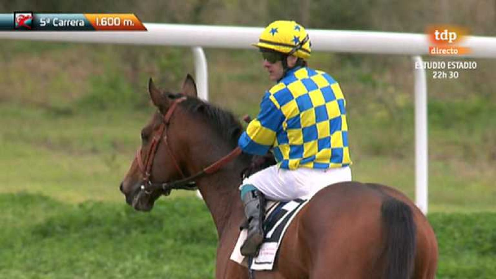 Turf - 27/01/13 - Ver ahora