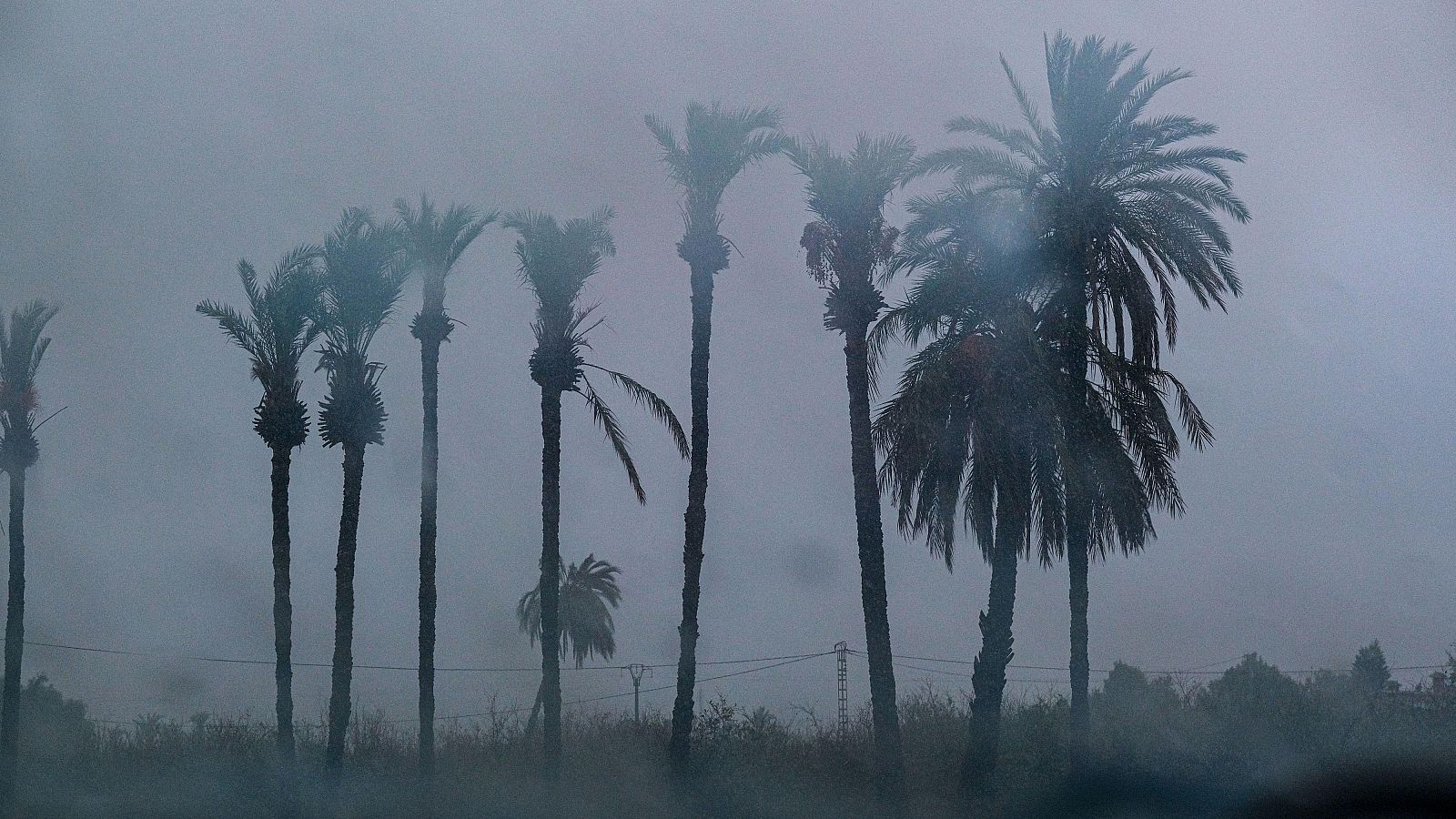 La dana hace que la selección no viaje a Elche hasta el sábado - Los Deportes de La1 | Ver
