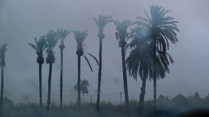 Los Deportes de La1 - El temporal altera los planes de la selección española y no viajará a Elche hasta el sábado
