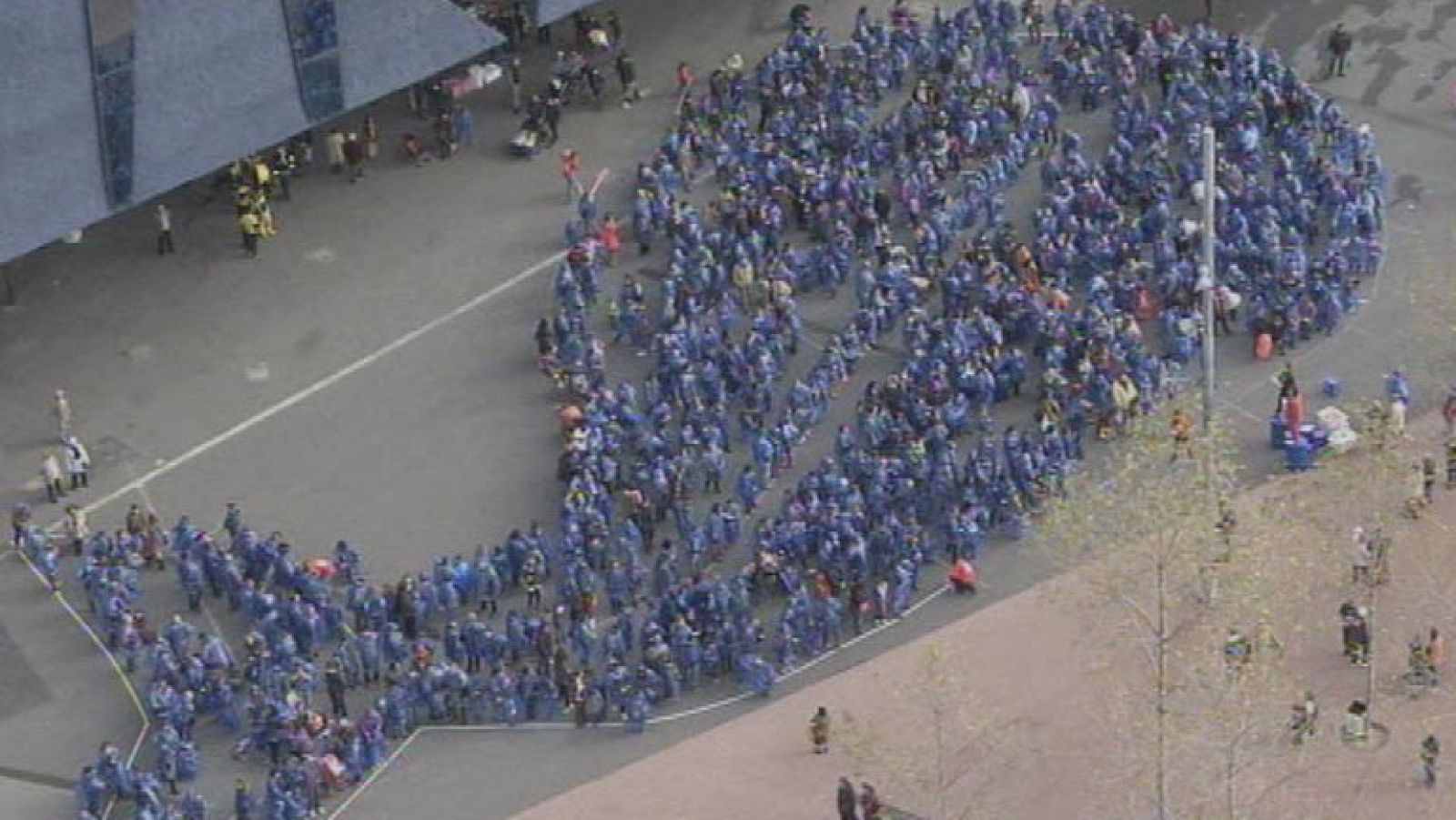 Hoy hace 150 años que una ballena quedó varada en el puerto de Llançà