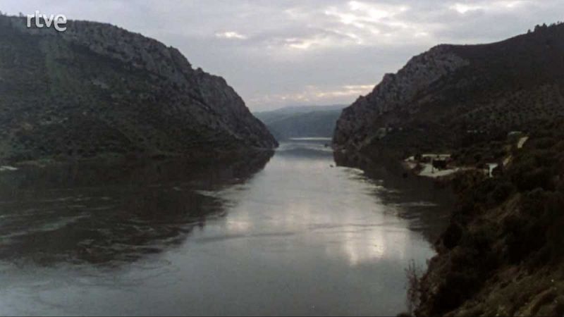 La raya - La raya mojada (II) - La raya | Ver