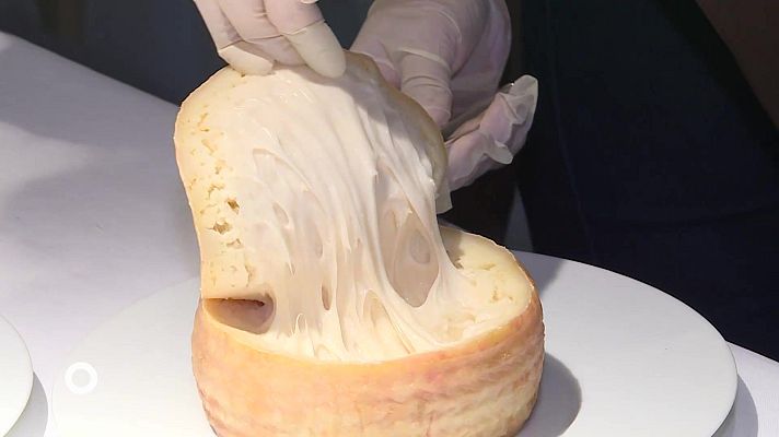 Agrosfera - Agrosfera - 11/10/25