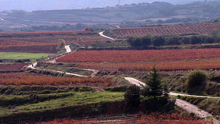 Zoom Tendencias - TIPS ENOTURÍsSTICoS