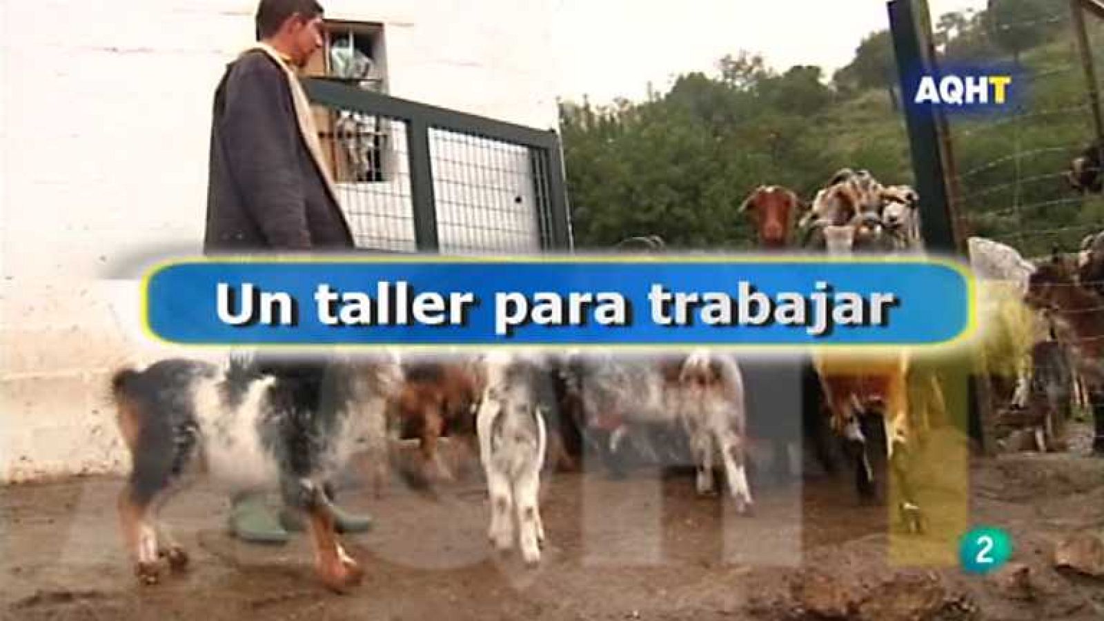 Aquí hay trabajo - 28/01/13 - Ver ahora