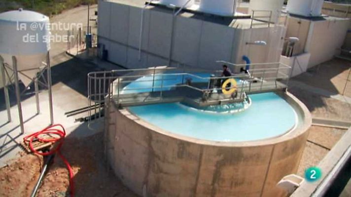 La aventura del Saber - La aventura del saber - 28/01/13