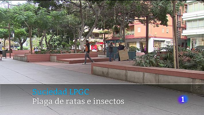 Telecanarias - Telecanarias - 13/10/2025