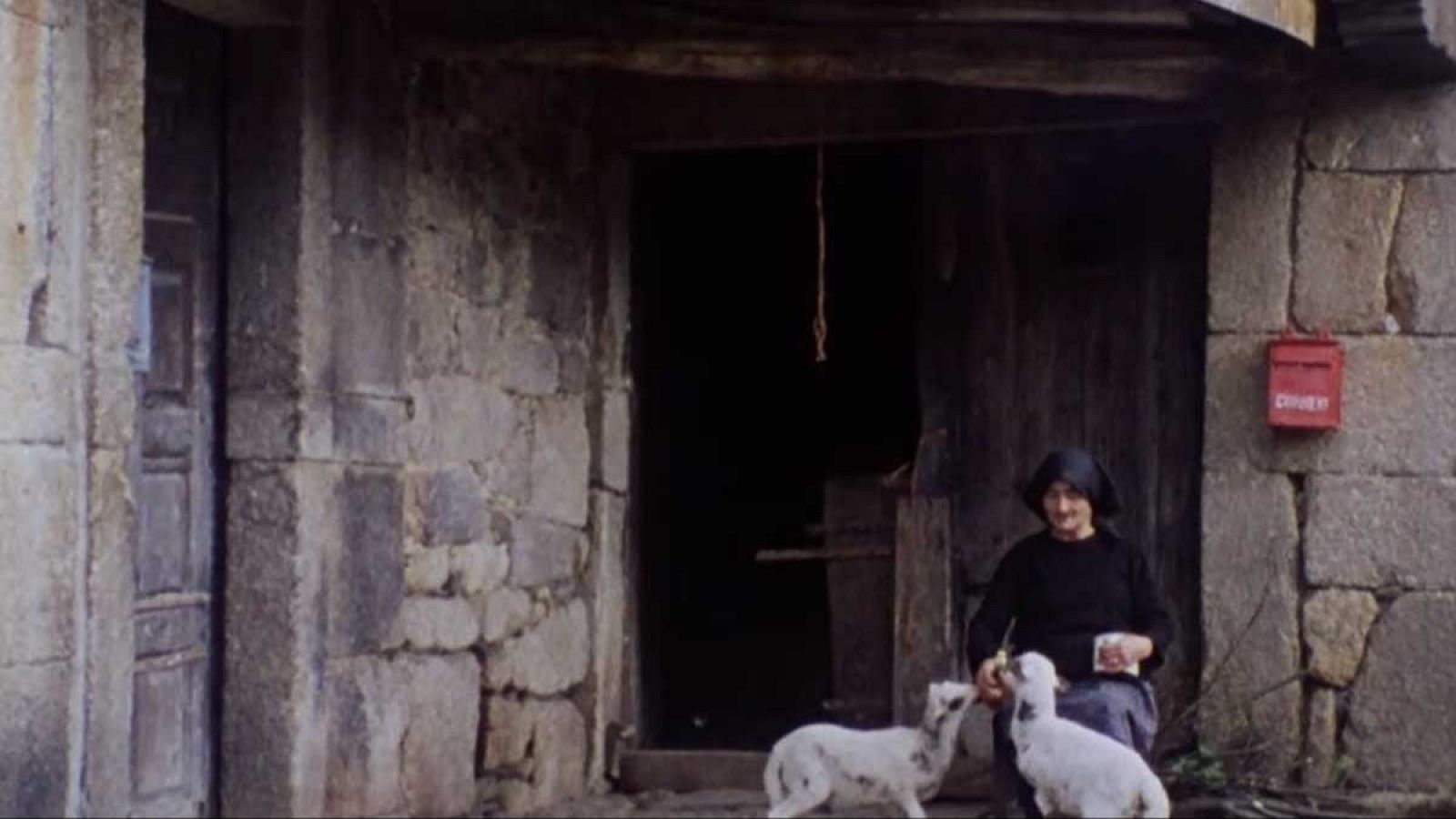 La raya - La raya de los muertos (II) - La raya | Ver