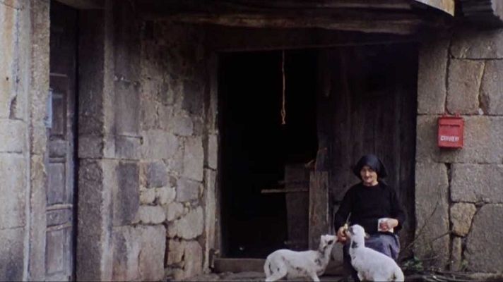 La raya - La raya de los muertos (II)