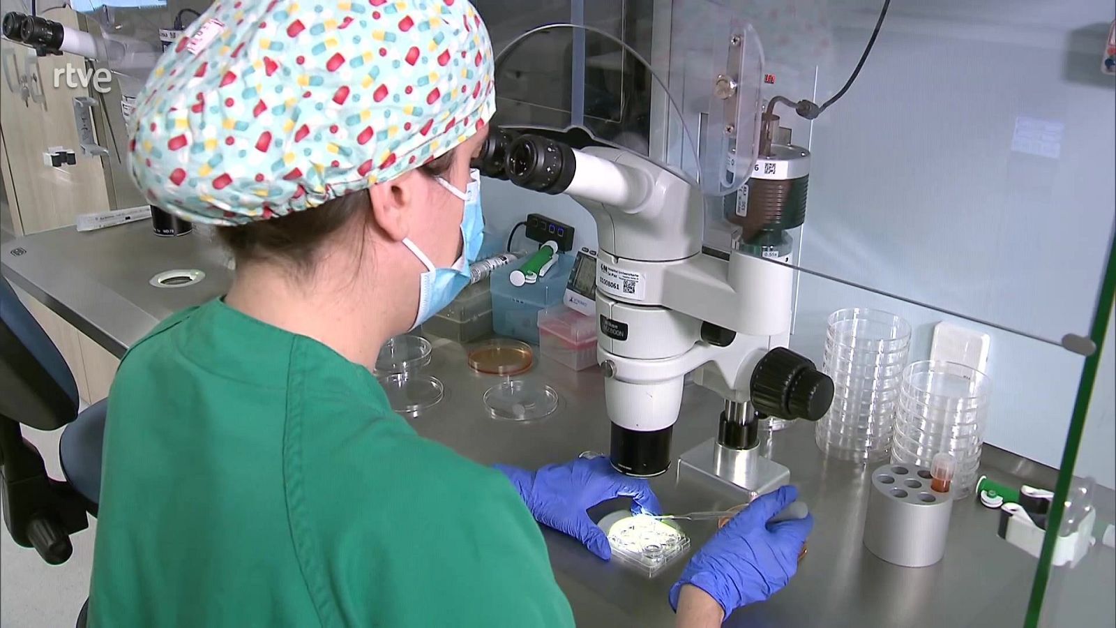 De profesión, embriólogo - Aquí hay trabajo | Ver