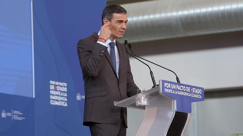 Sánchez pide que la paz no signifique "impunidad" de Israel | Ver