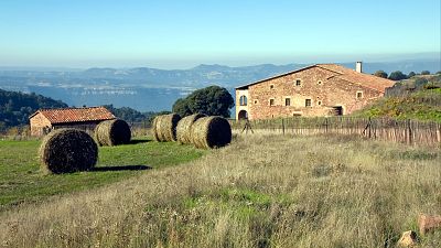 Dificultades del relevo generacional en la propiedad de las fincas rústicas