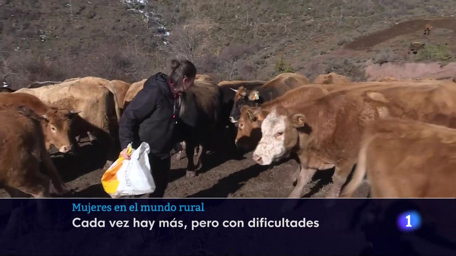 Informativo Telerioja 2 - 14-10-2025 | Ver