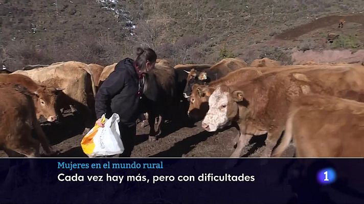 Informativo Telerioja - Informativo Telerioja 2 - 14-10-2025