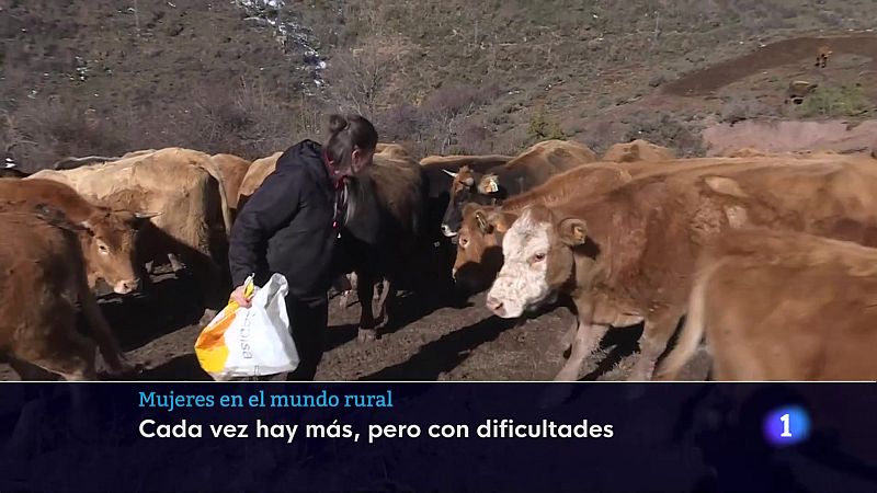 Informativo Telerioja 2 - 14-10-2025 | Ver