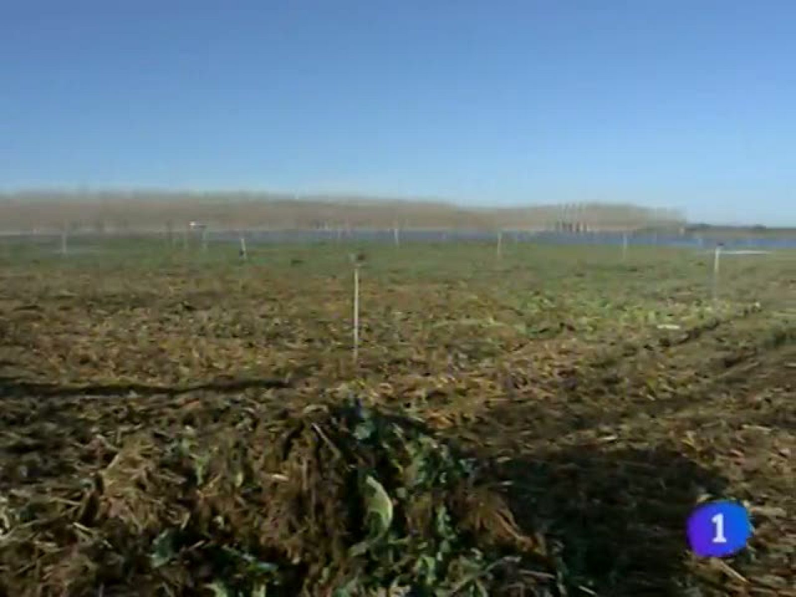 Telenavarra en 2' - 28/01/13 | Ver