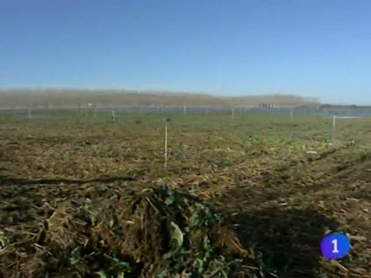 Telenavarra - Telenavarra en 2' - 28/01/13