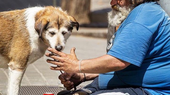 Para todos La 2 - Reportaje sobre la relación entre animales de compañía y personas en situación de vulnerabilidad.