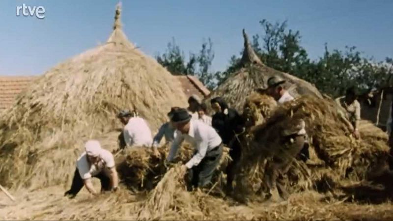 La raya - Pasarse de la raya (II) - La raya | Ver