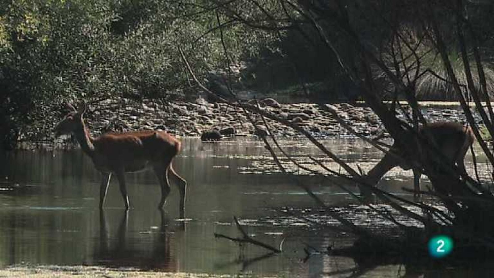 Biodiario - 28/01/13 - Ver ahora