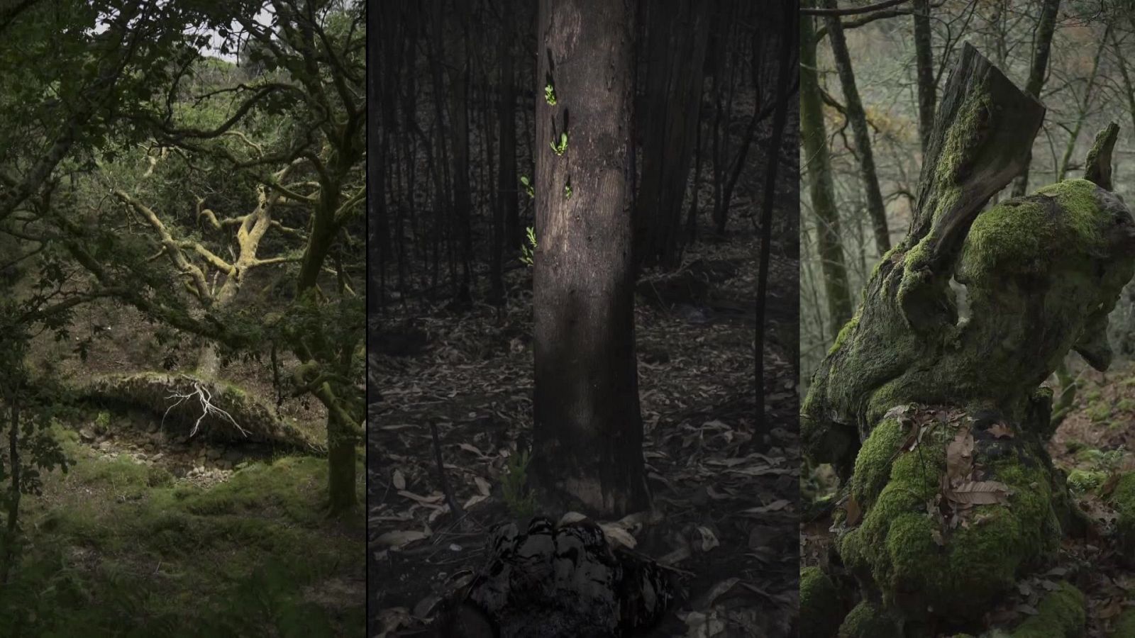 Boek Visual: Ariadna Silva Fernández | Ver