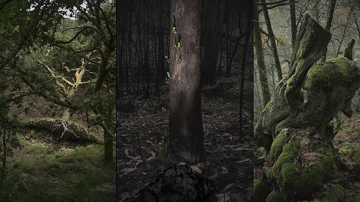 La aventura del Saber - Boek Visual: Ariadna Silva Fernández