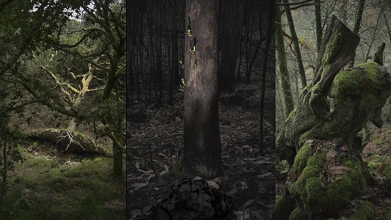 Boek Visual: Ariadna Silva Fernández | Ver