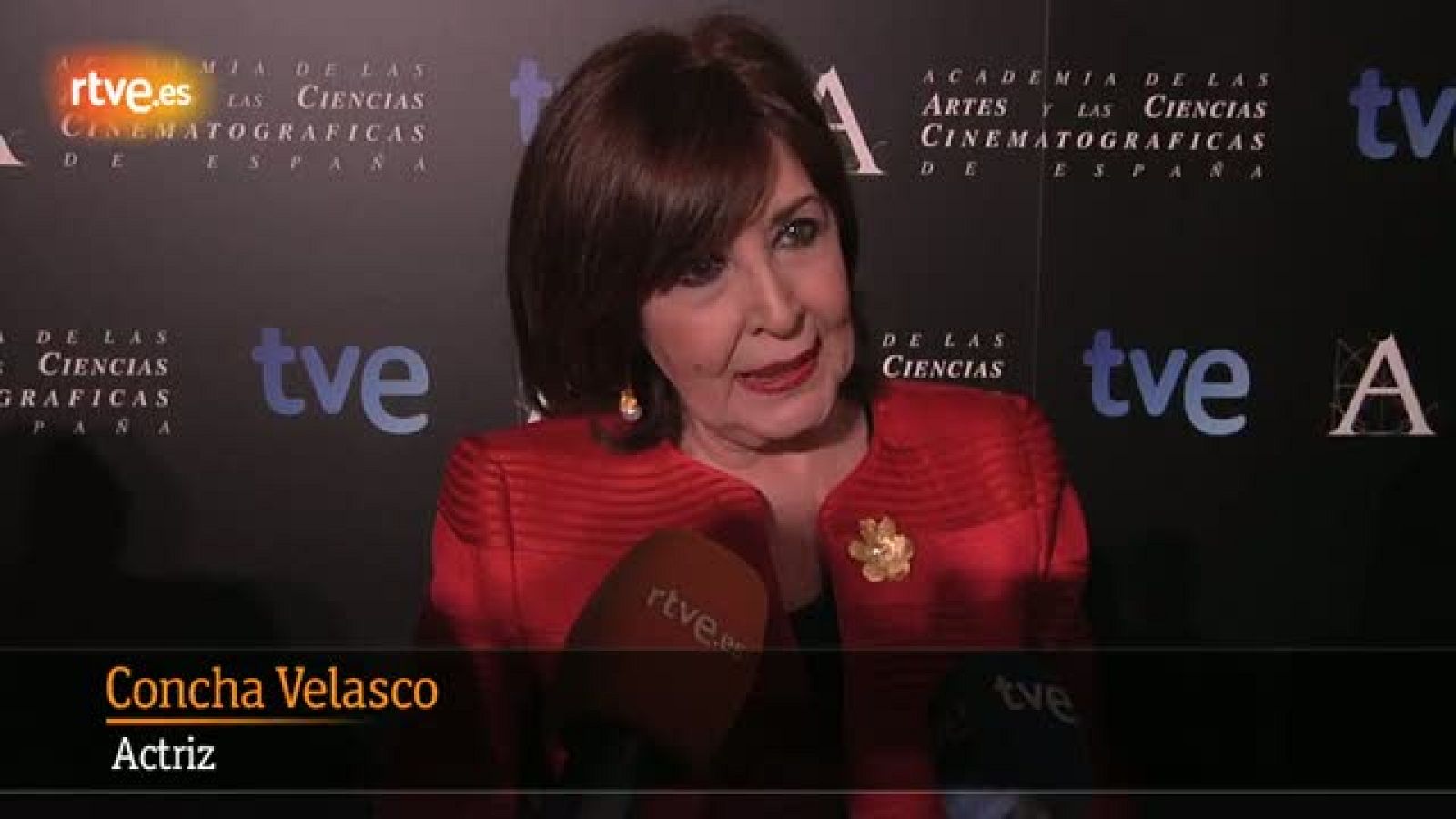 Concha Velasco, en la alfombra roja de la recepción de finalistas de los Goya | Ver