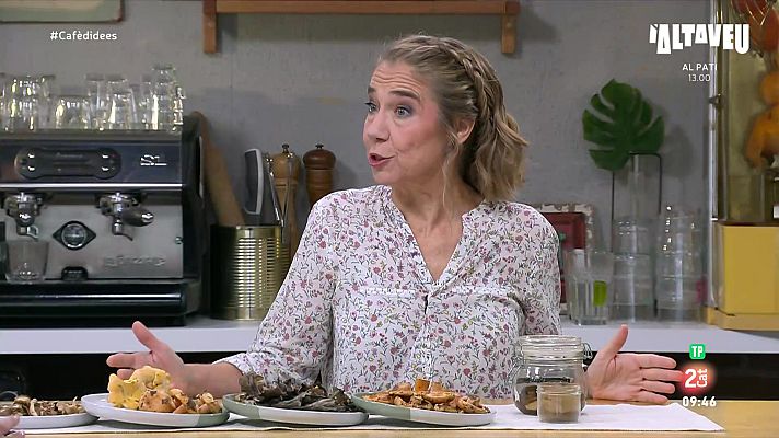 Cafè d'idees - Bolets a la cuina: així els has de netejar, coure i conservar