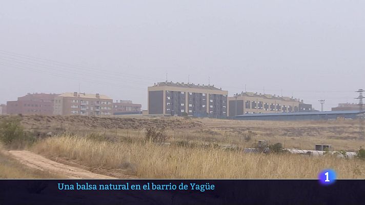 Informativo Telerioja - Informativo Telerioja 17-10-2025 Ver ahora