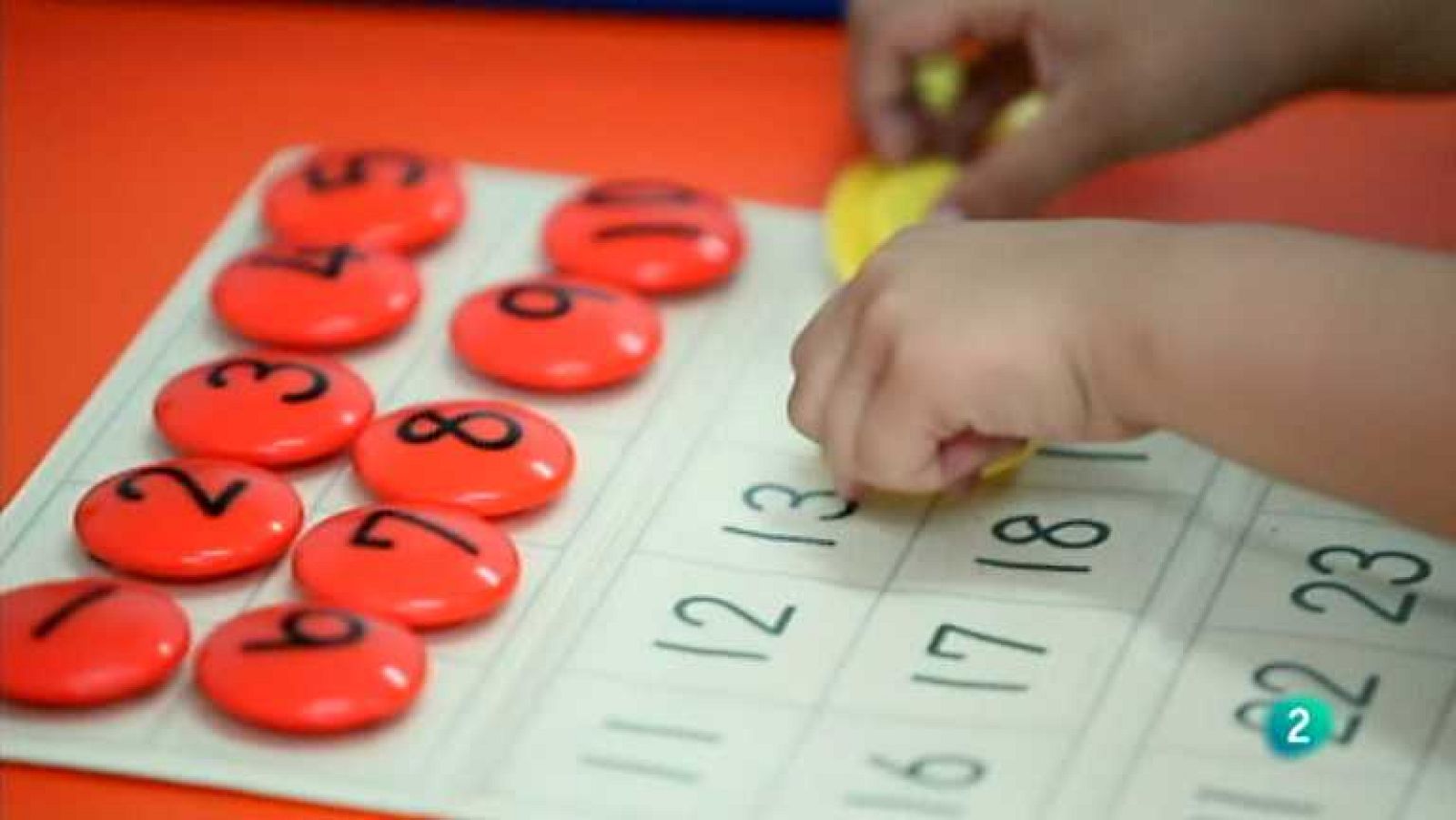 La aventura del saber - 29/01/13 - ver ahora